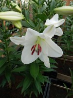 [3456 W07 0363-01 No102.JPG]